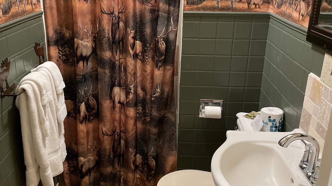 Photo of Bathroom in Monte Vista