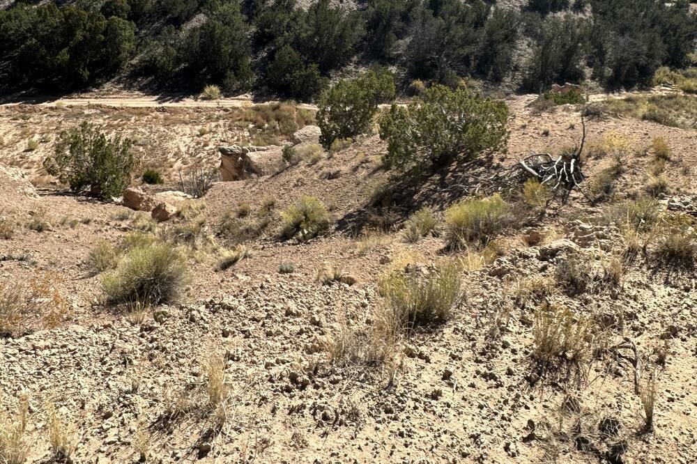 Photo of Others in Espanola