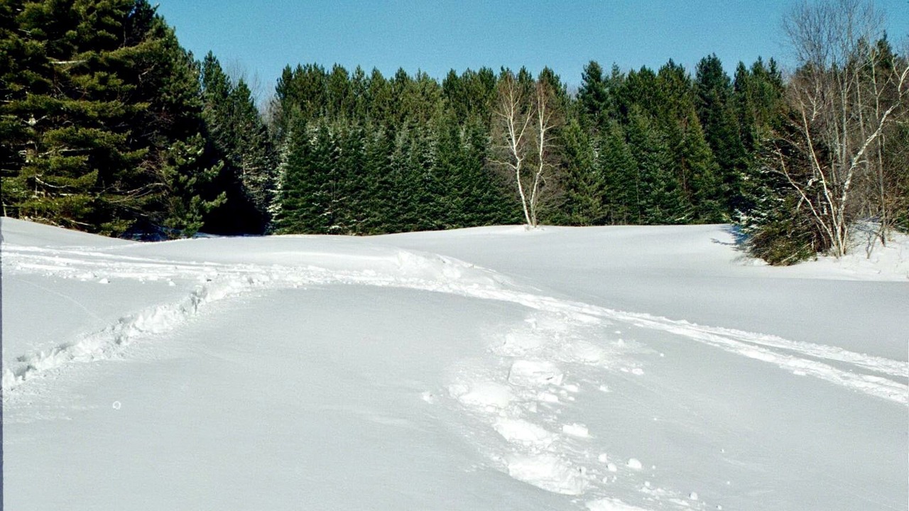 Photo of Outdoor in Northfield