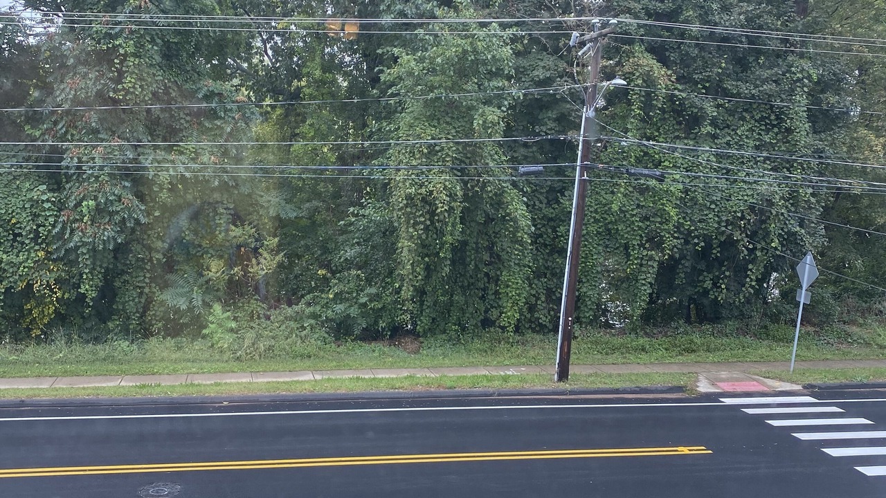 Photo of Others in Silver Lane