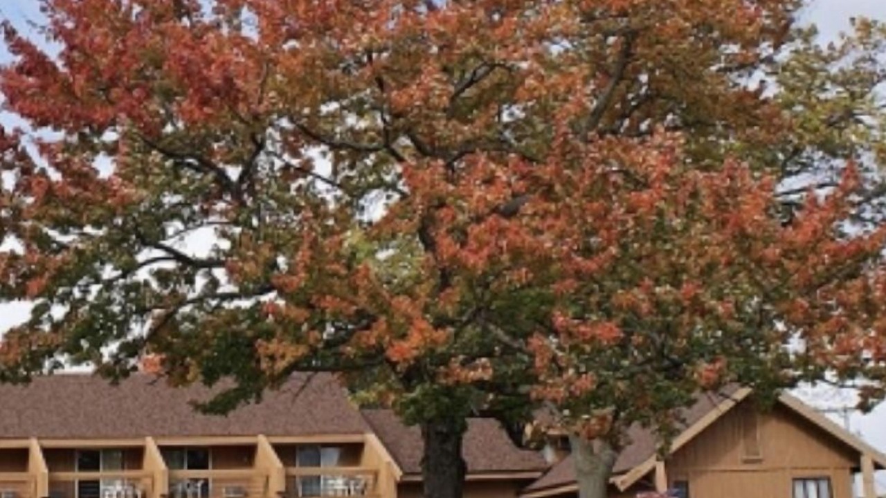 Photo of Outdoor in Phillips