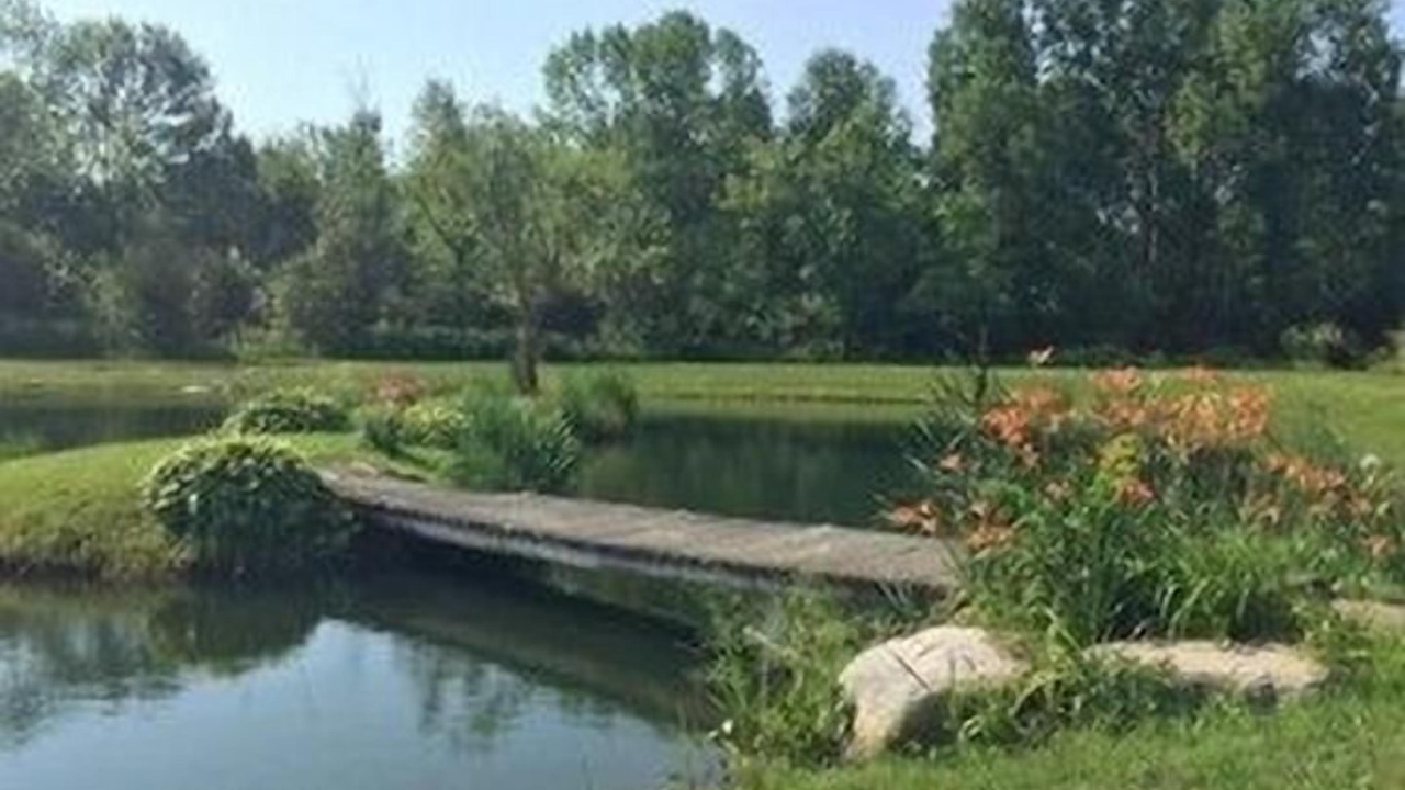 Photo of Outdoor in Massena