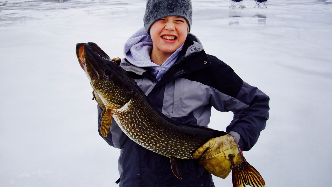 Photo of Outdoor in Massena
