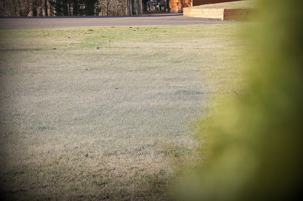 Photo of Outdoor in Isle