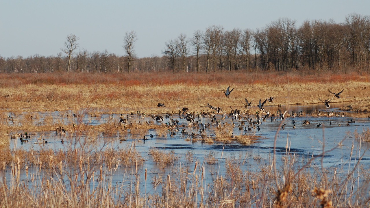 Photo of Others in Grantsburg