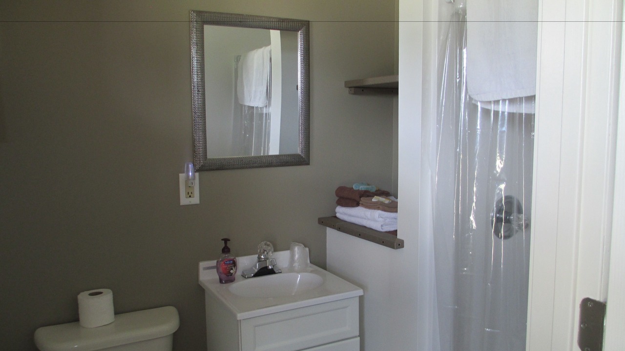 Photo of Bathroom in Bad Axe