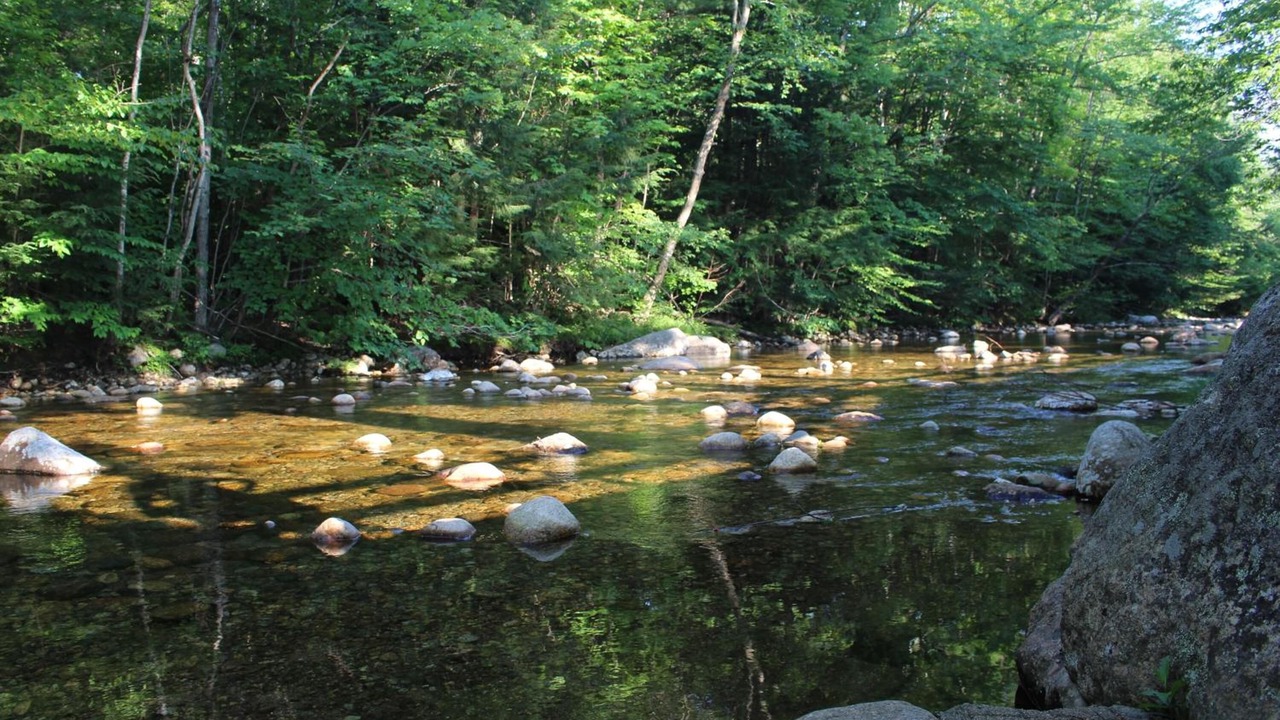 Photo of Outdoor in North Woodstock