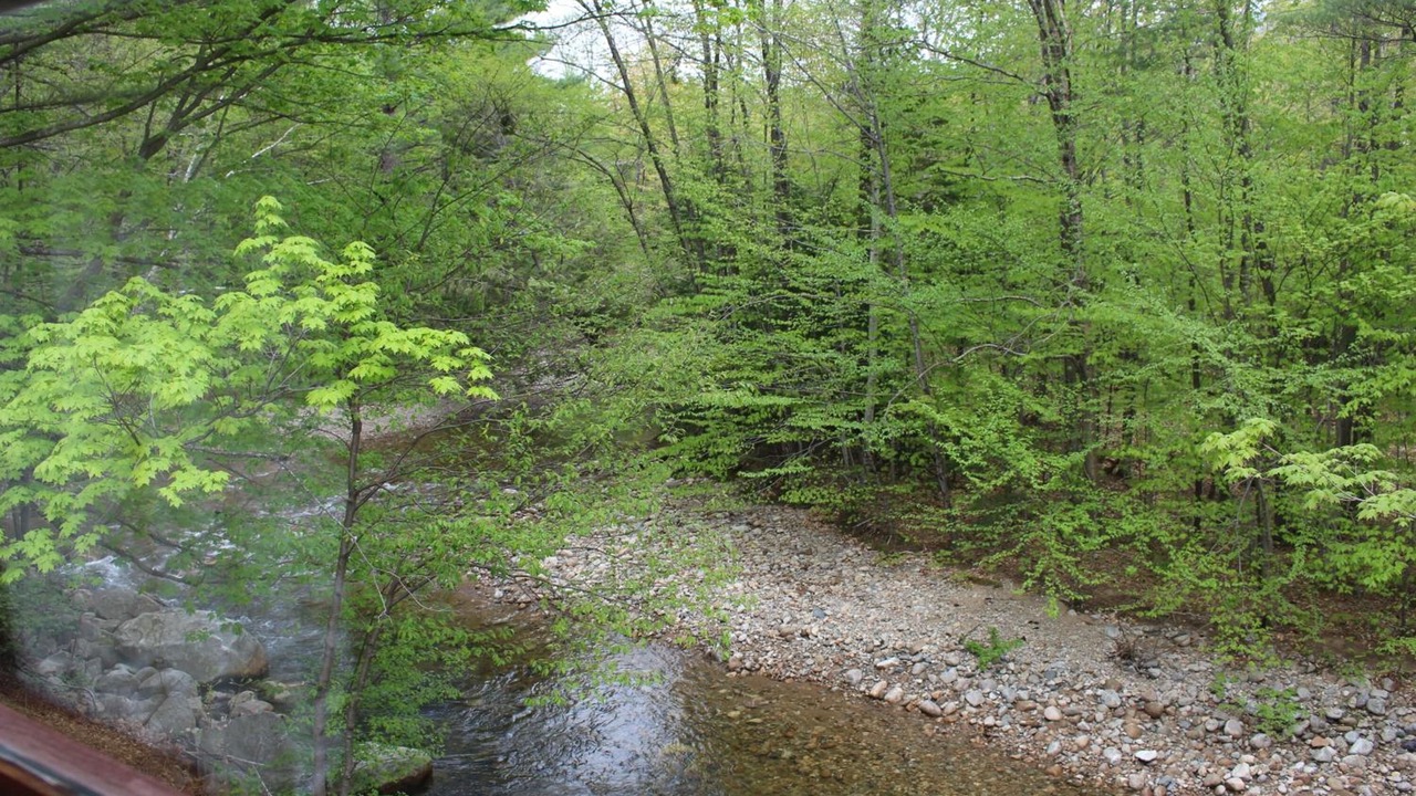 Photo of Outdoor in North Woodstock