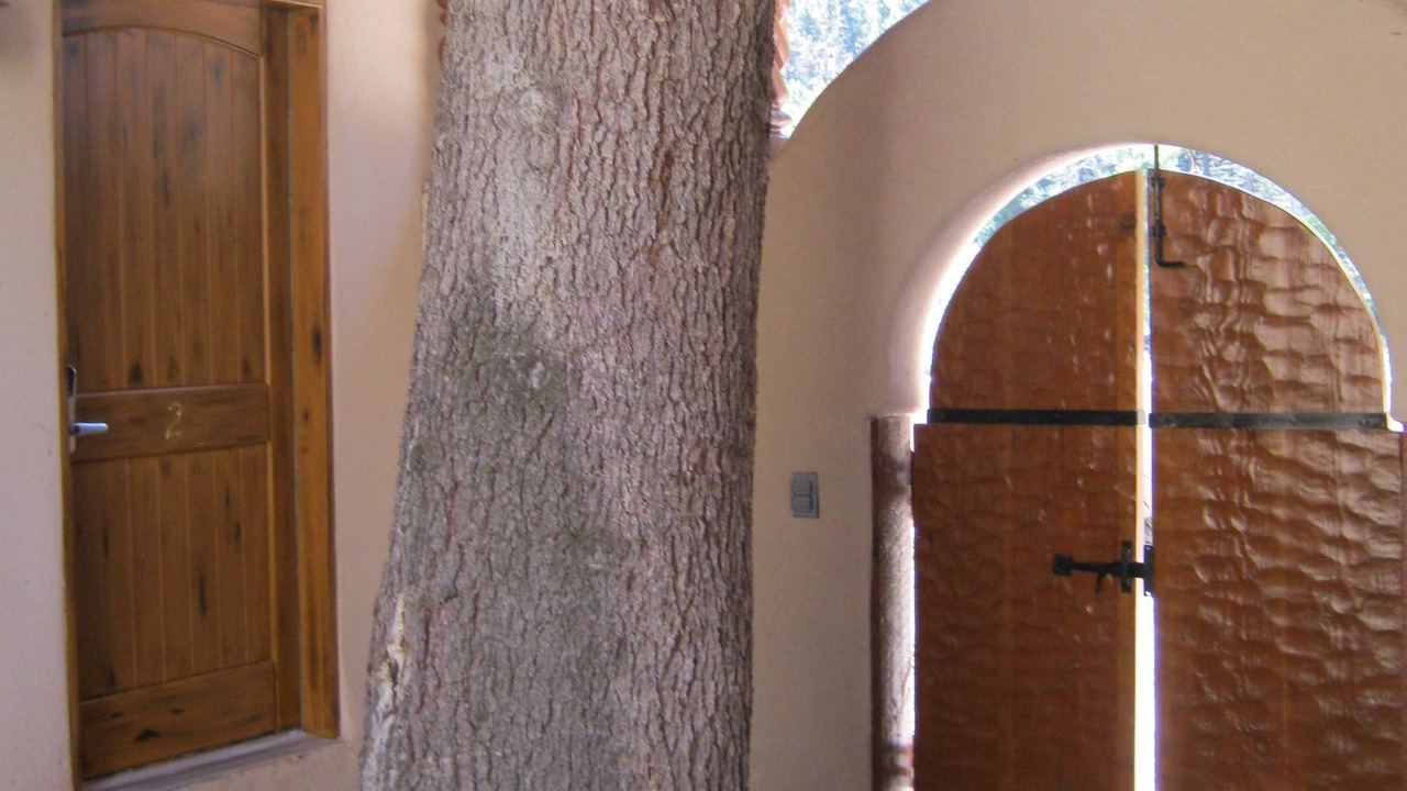 Photo of Others in Taos