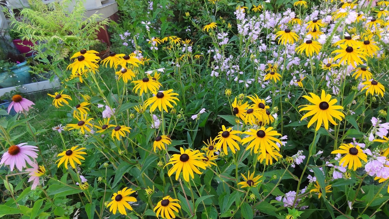 Photo of Outdoor in Brattleboro