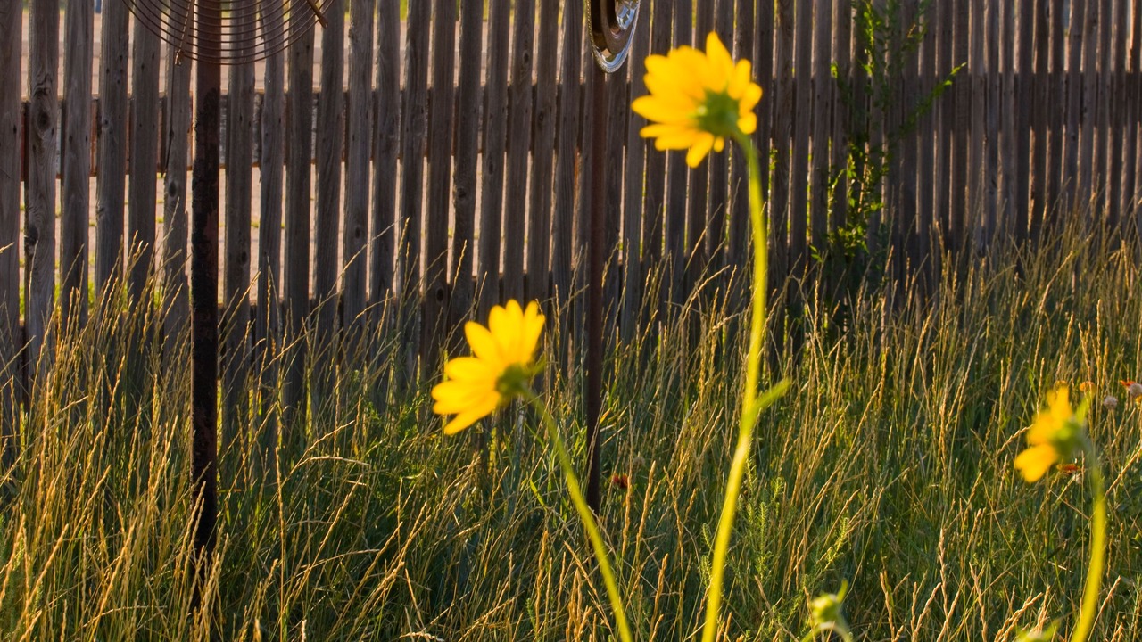 Photo of Outdoor in Moriarty