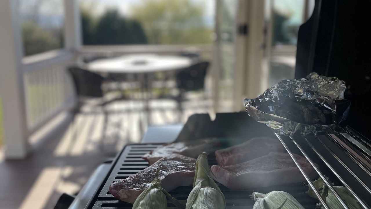Photo of Outdoor in South Burlington