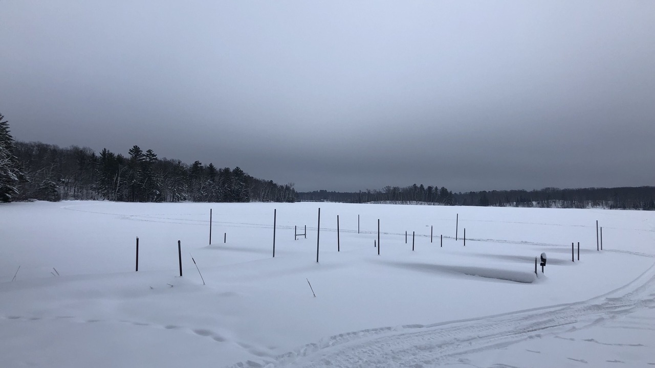 Photo of Others in Iron River