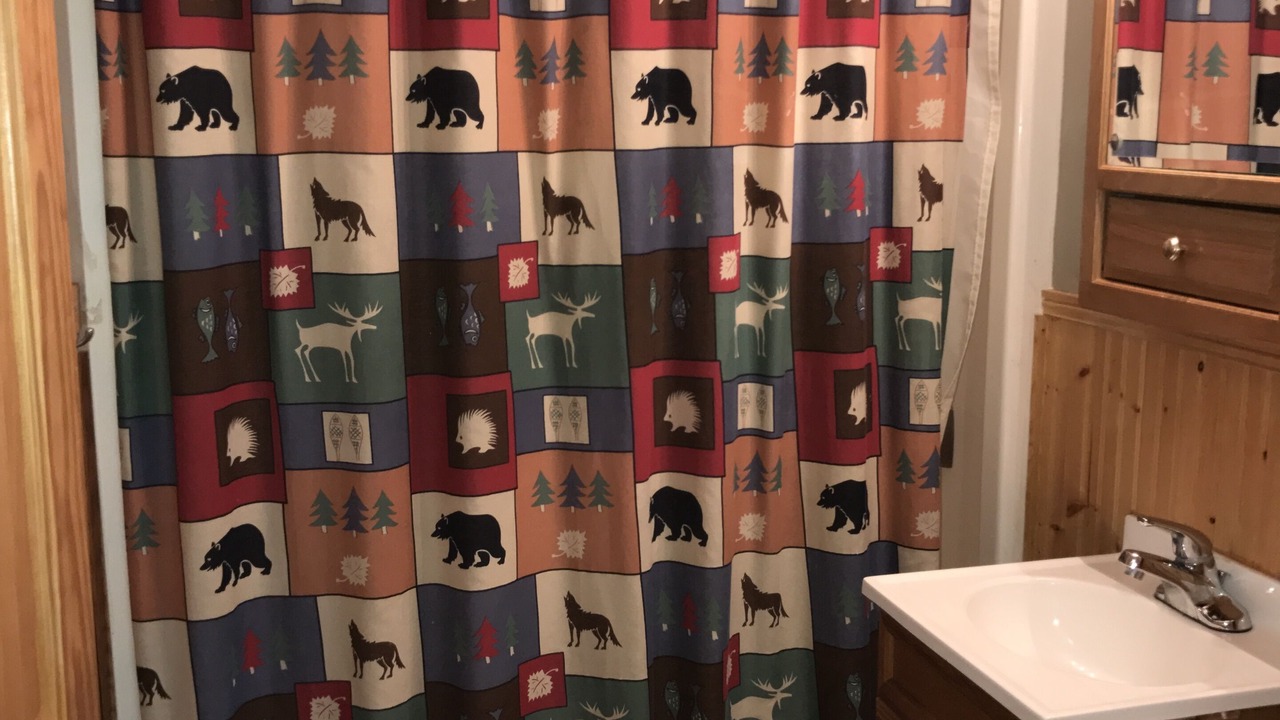 Photo of Bathroom in Iron River