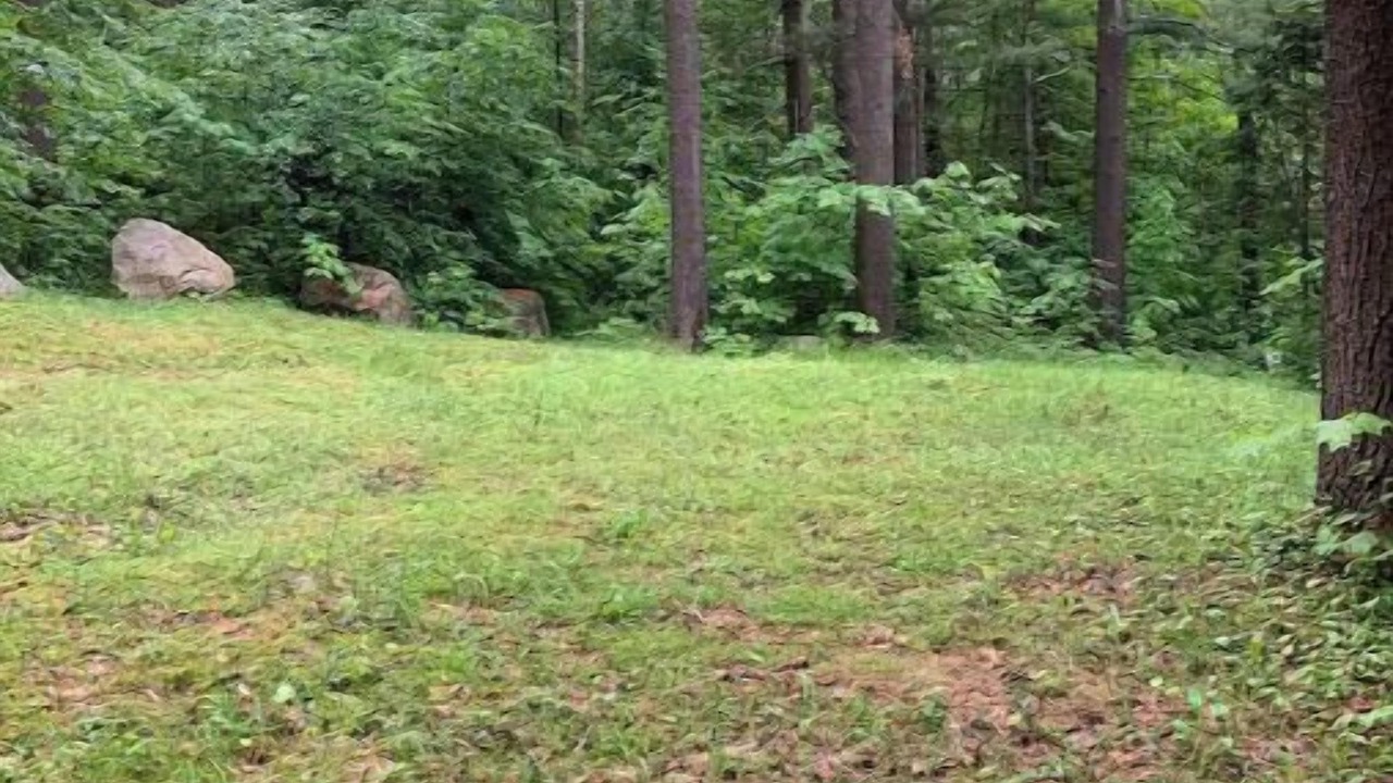 Photo of Outdoor in Westmore