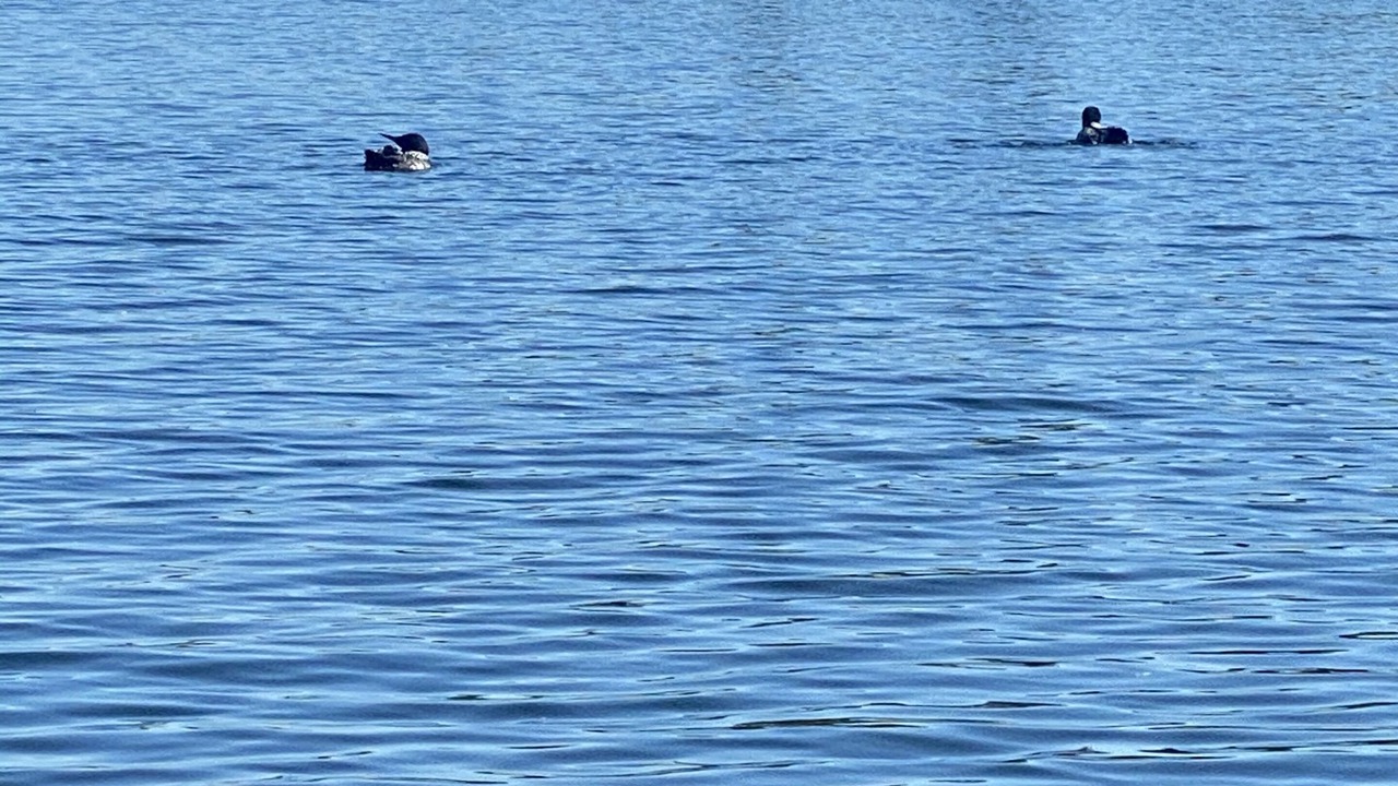 Photo of Outdoor in Brainerd