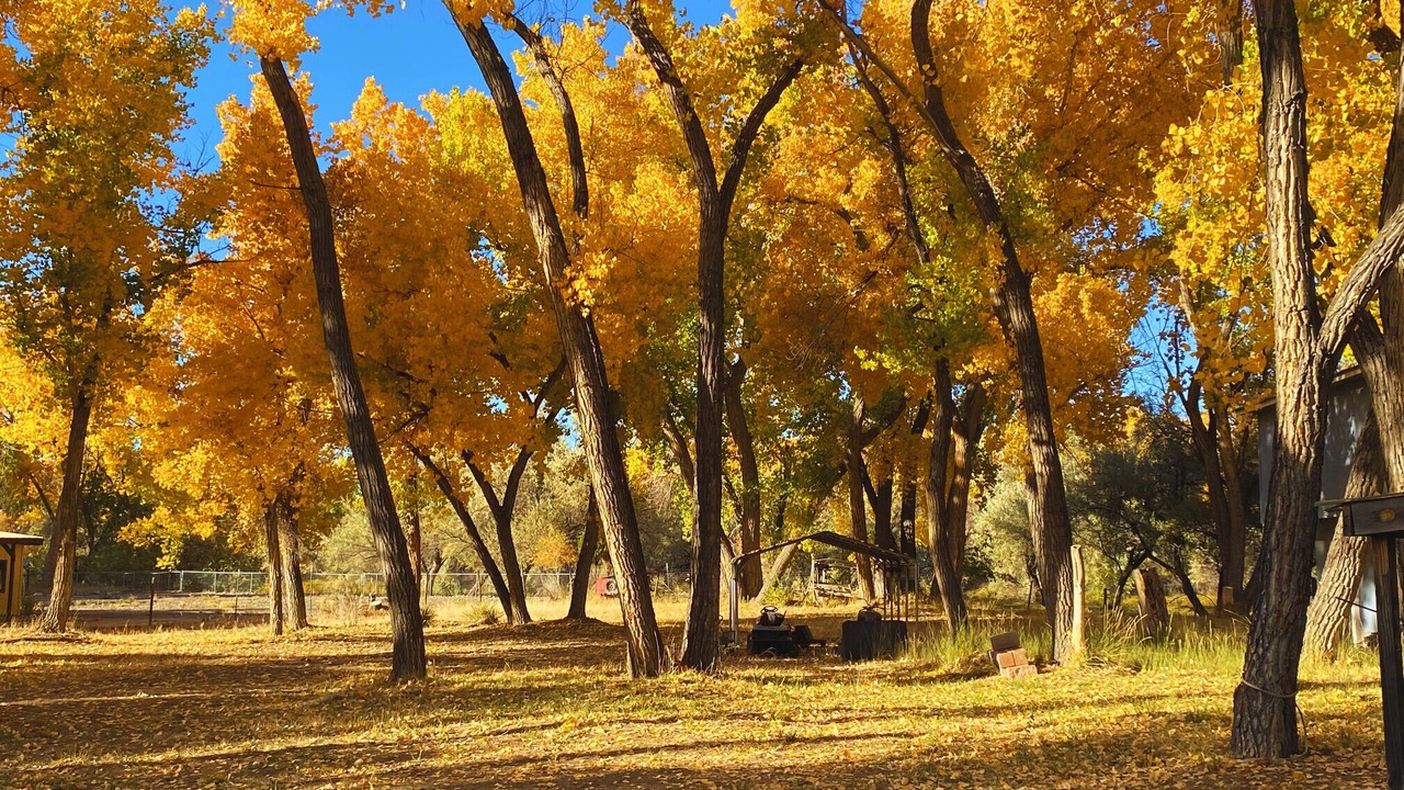 Photo of Others in Blanco