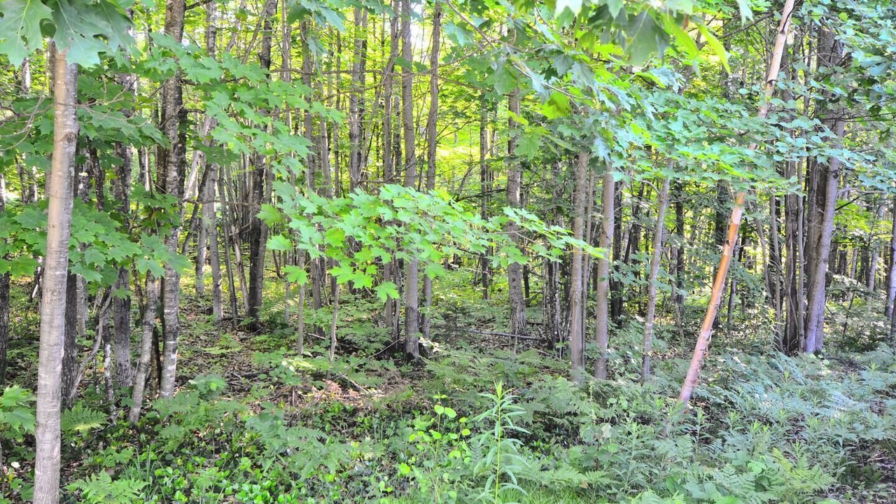 Photo of Others in Washburn