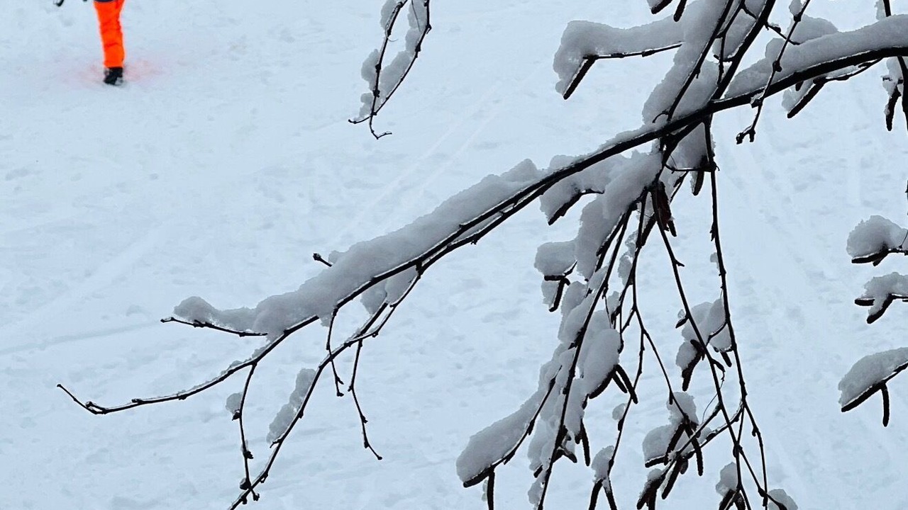 Photo of Others in Stratton Mountain