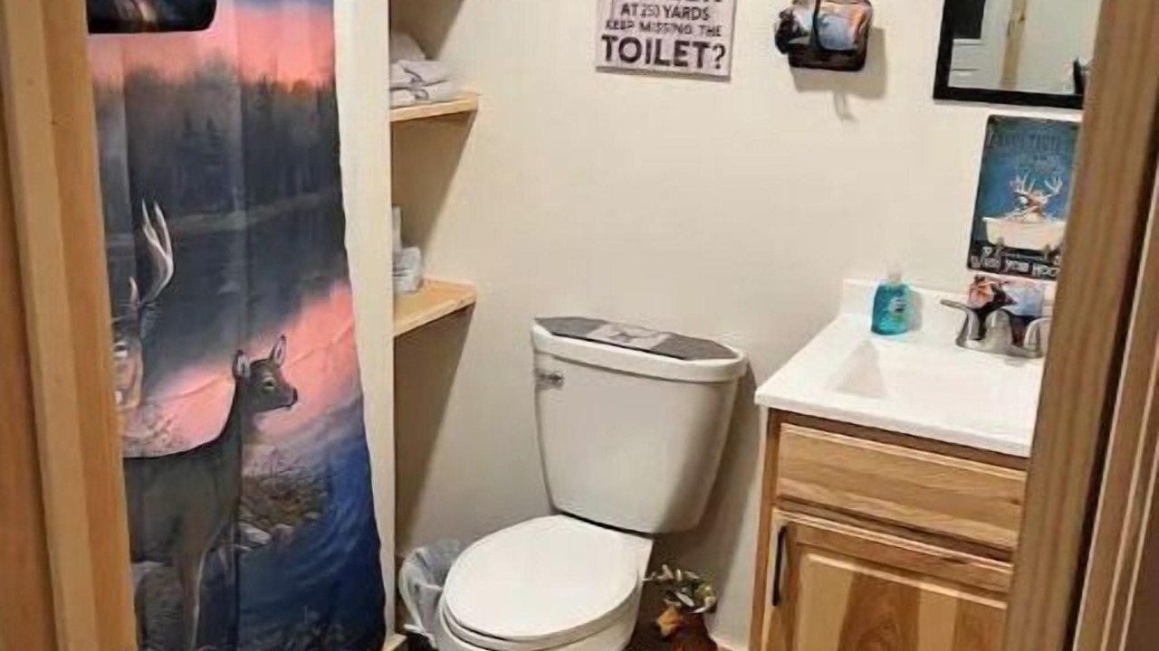 Photo of Bathroom in Johnson
