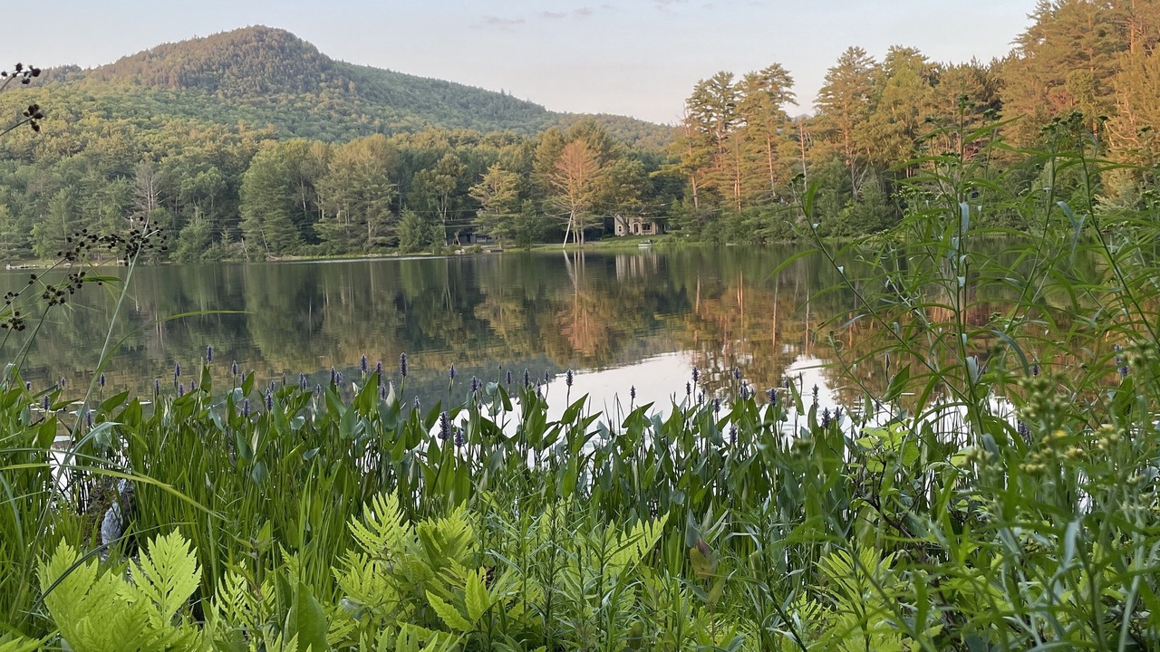 Photo of Others in Saranac Lake