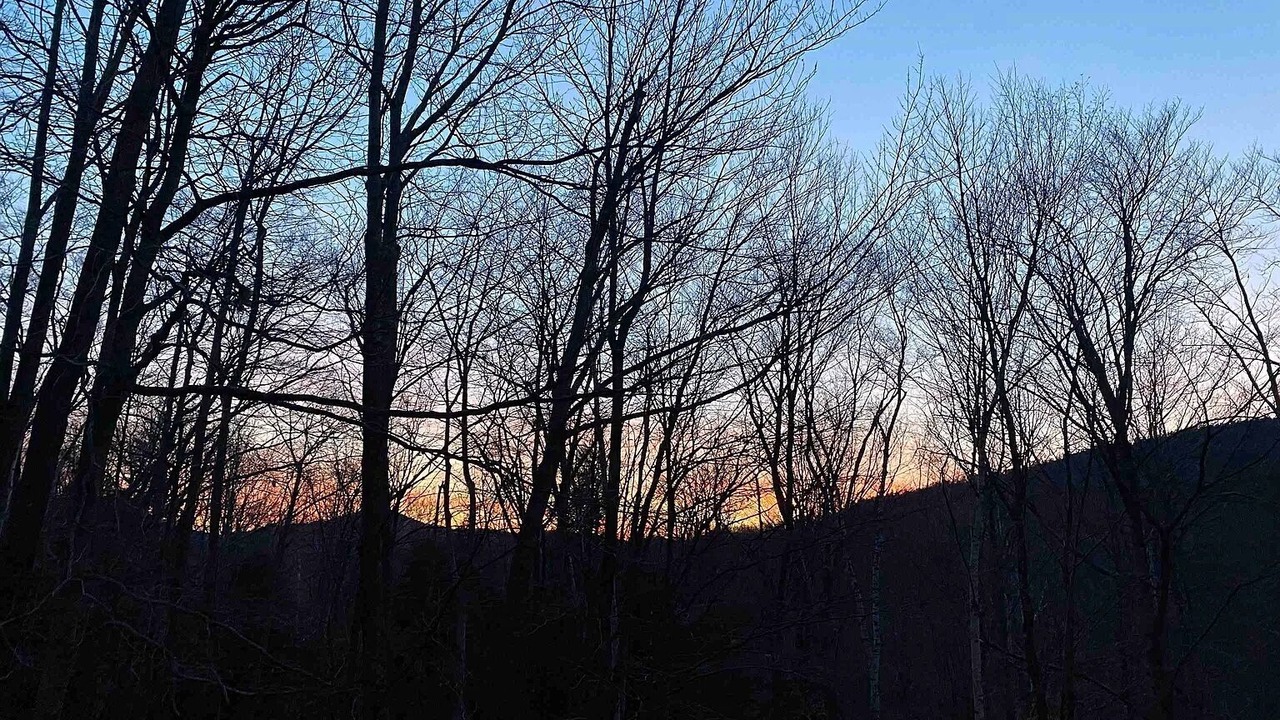 Photo of Outdoor in Bartlett