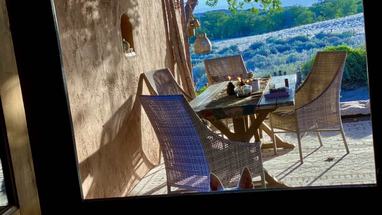 Photo of Outdoor in La Puebla