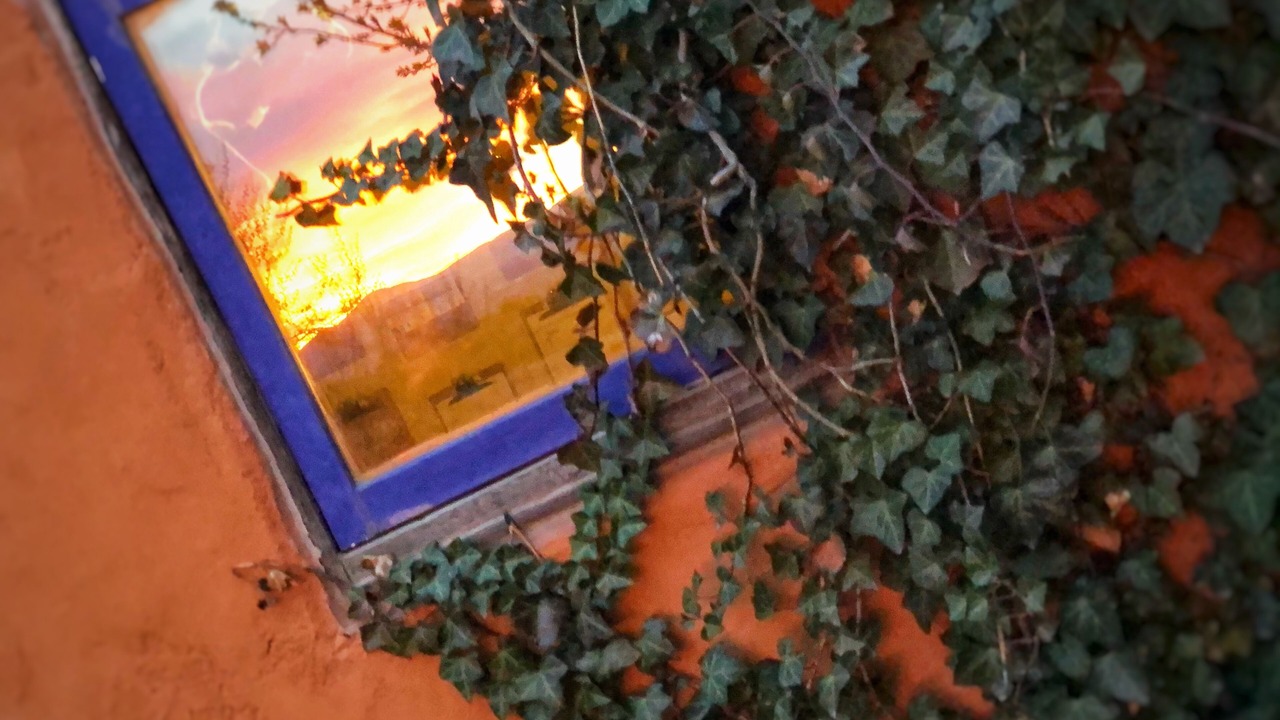 Photo of Outdoor in La Puebla