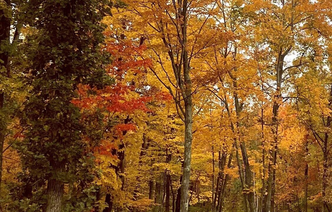 Photo of Outdoor in Mora