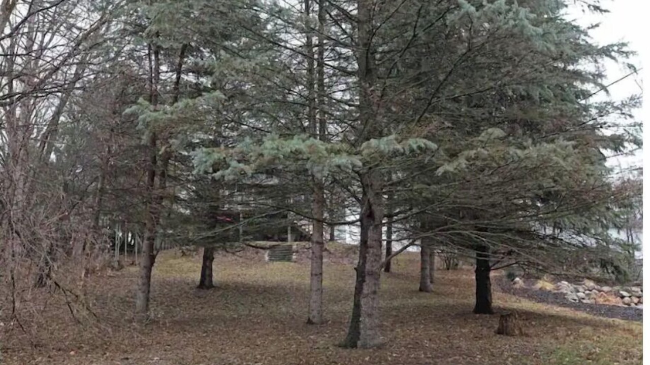 Photo of Others in Mahtomedi