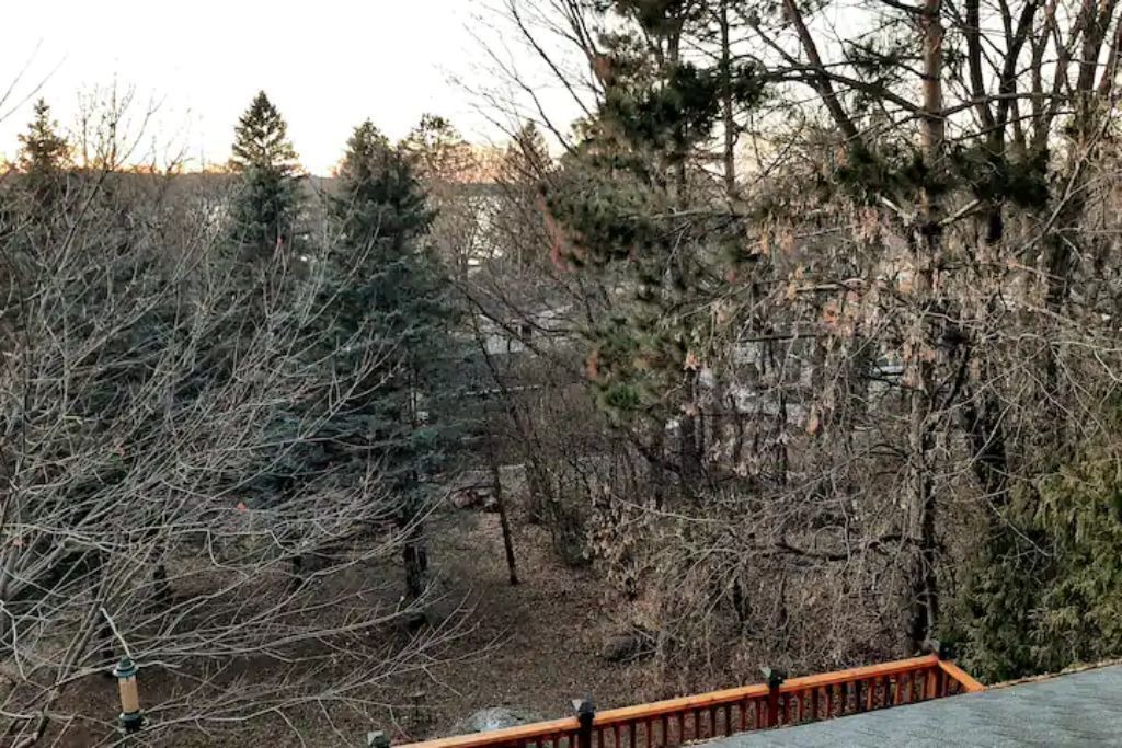 Photo of Patio Balcony in Mahtomedi