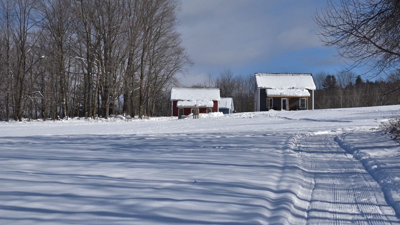 Photo of Outdoor in Stowe Area