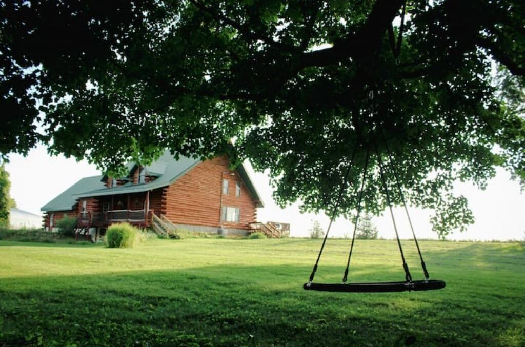 Photo of Outdoor in Viola