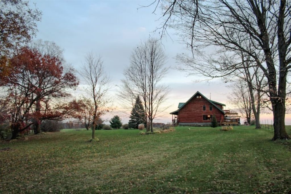 Photo of Outdoor in Viola