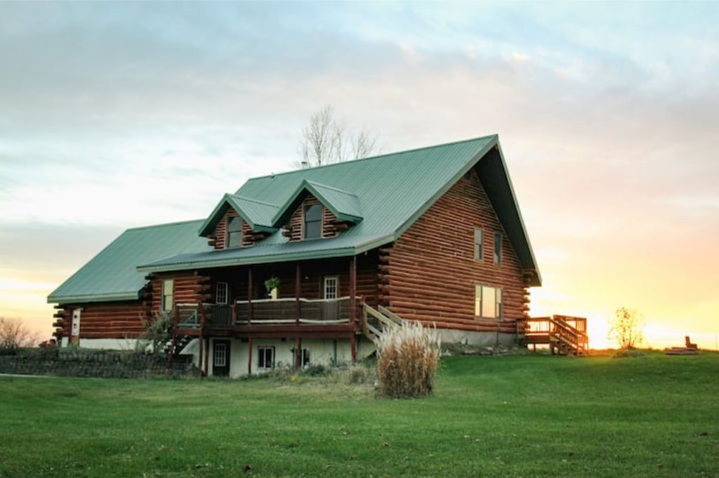 Photo of Outdoor in Viola