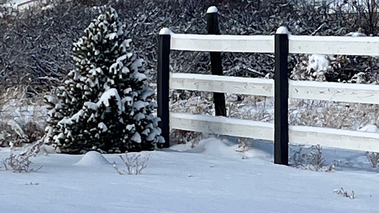 Photo of Outdoor in Taos