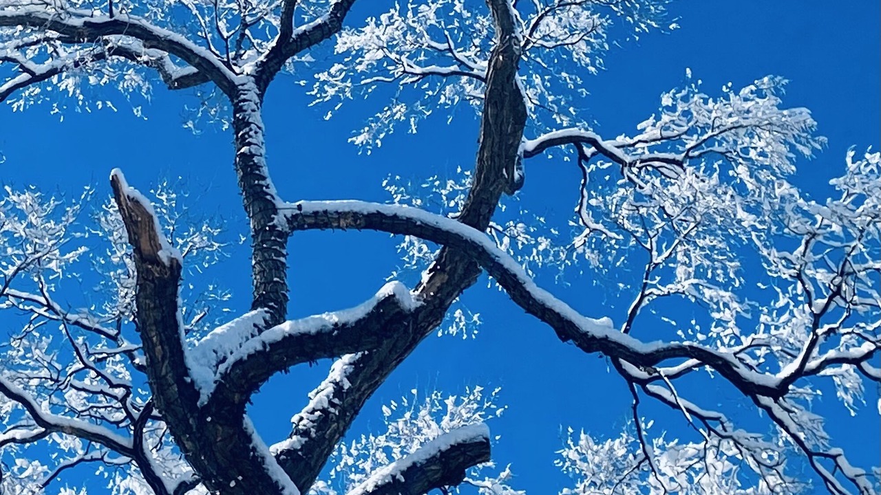 Photo of Others in Taos