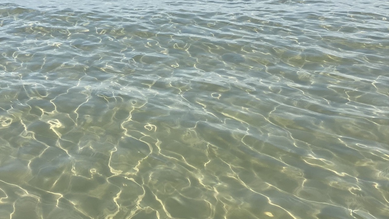 Photo of Others in Silver Beach