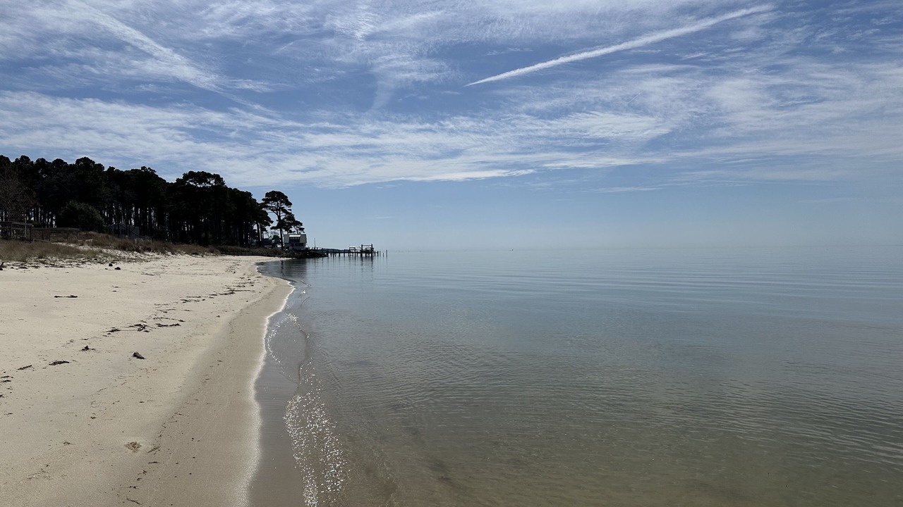 Photo of Others in Silver Beach