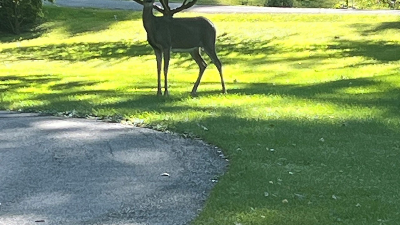 Photo of Others in Green Bay