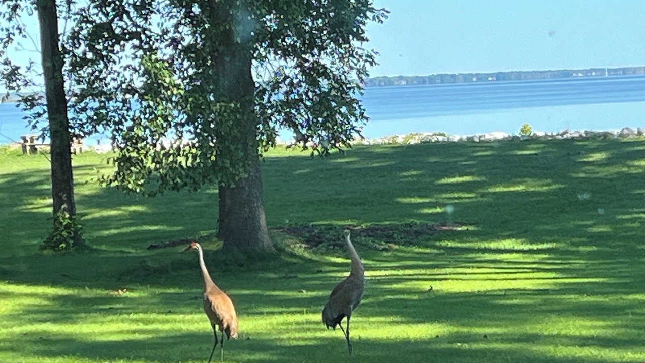 Photo of Others in Green Bay