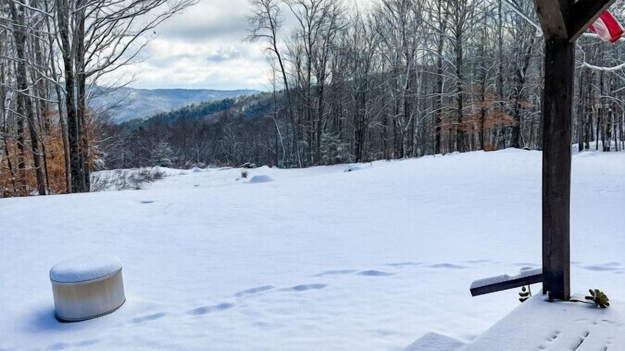 Photo of Outdoor in Clemons