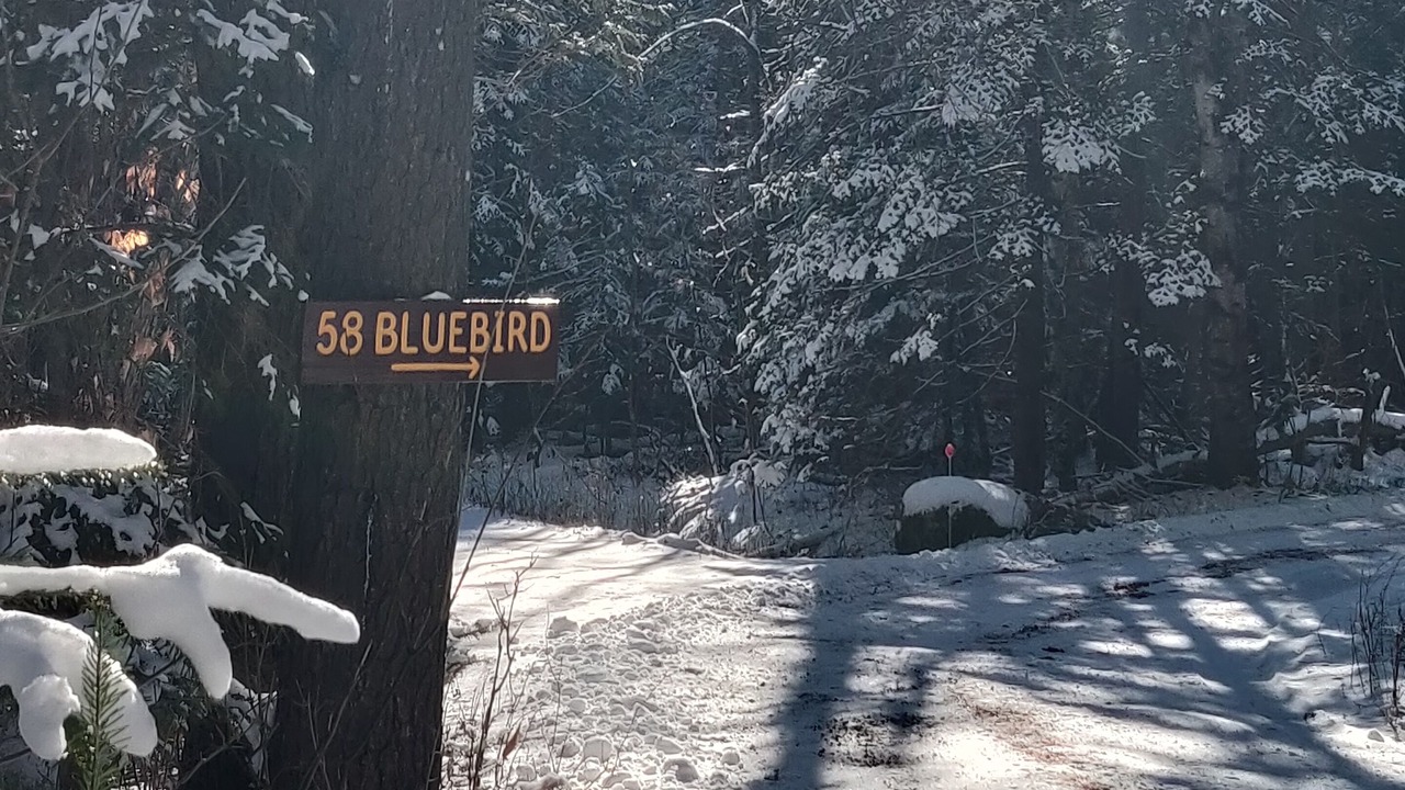 Photo of Outdoor in North River