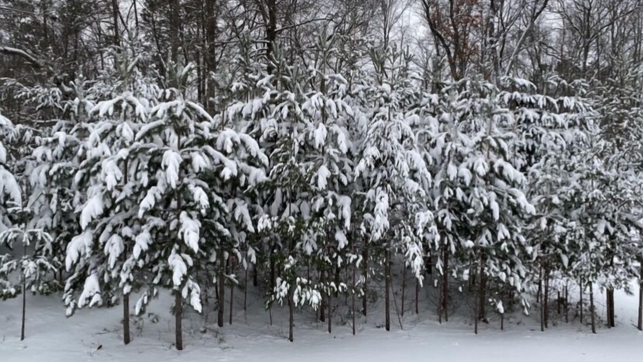 Photo of Outdoor in Crosslake