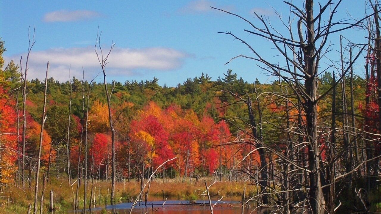Photo of Outdoor in Barre