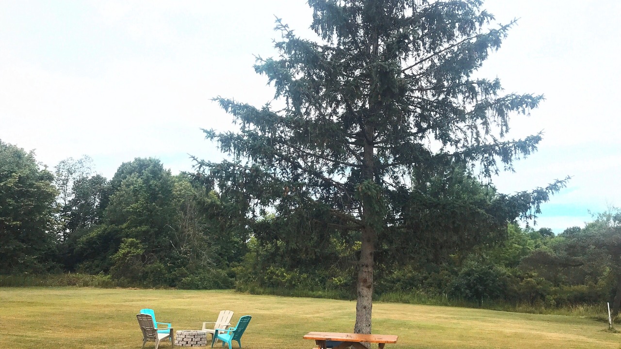 Photo of Outdoor in Alexandria Bay