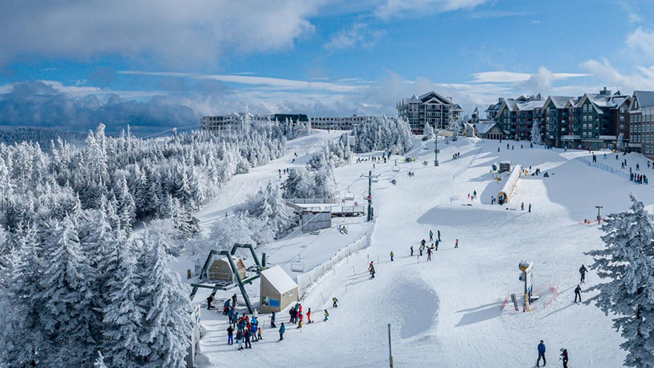 Photo of Others in Snowshoe