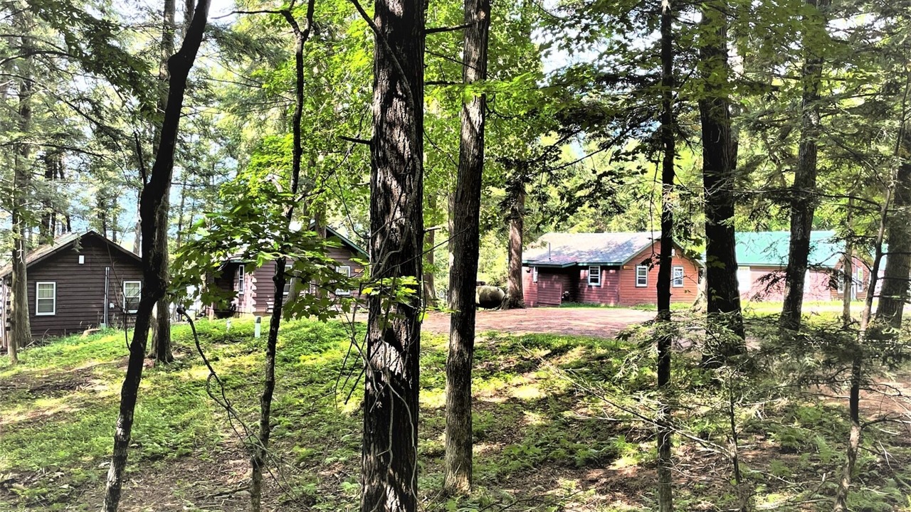 Photo of Outdoor in Butternut