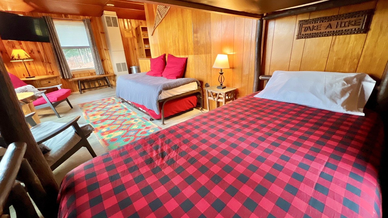 Photo of Livingroom in Indian Lake