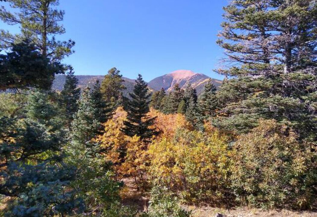 Photo of Outdoor in Westcliffe